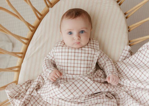 Ely's & Co. Modal French Terry Plaid Sheep Collection In Multi