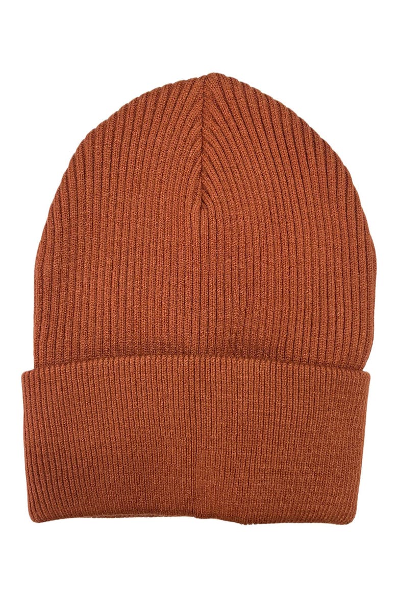 Rib Cuff Knit Beanie, Main, color, RUST