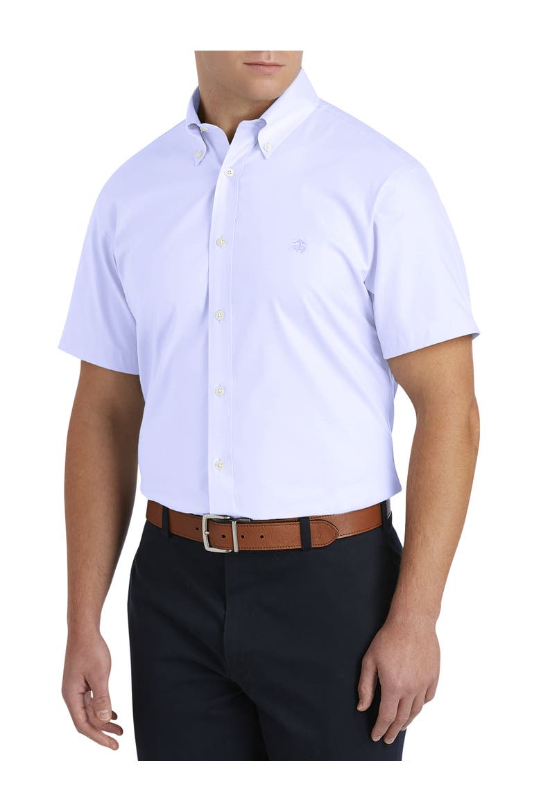 Big & Tall Non-Iron Solid Oxford Sport Shirt, Main, color, LAVENDER