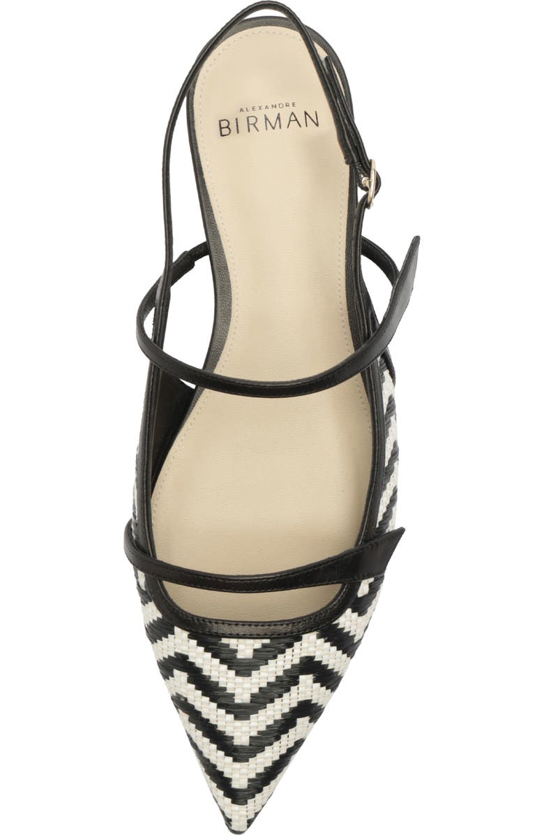 Alexandre Birman Tita Raffia Pointed Toe Slingback Flat, Alternate, color, Black