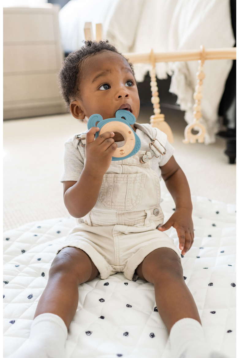 Silicone & Wood Baby Teethers, Alternate, color, Blue Dog