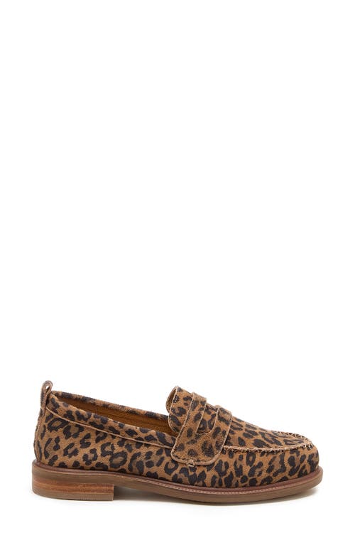 Kelsi Dagger Brooklyn Lens Penny Loafer In Leopard
