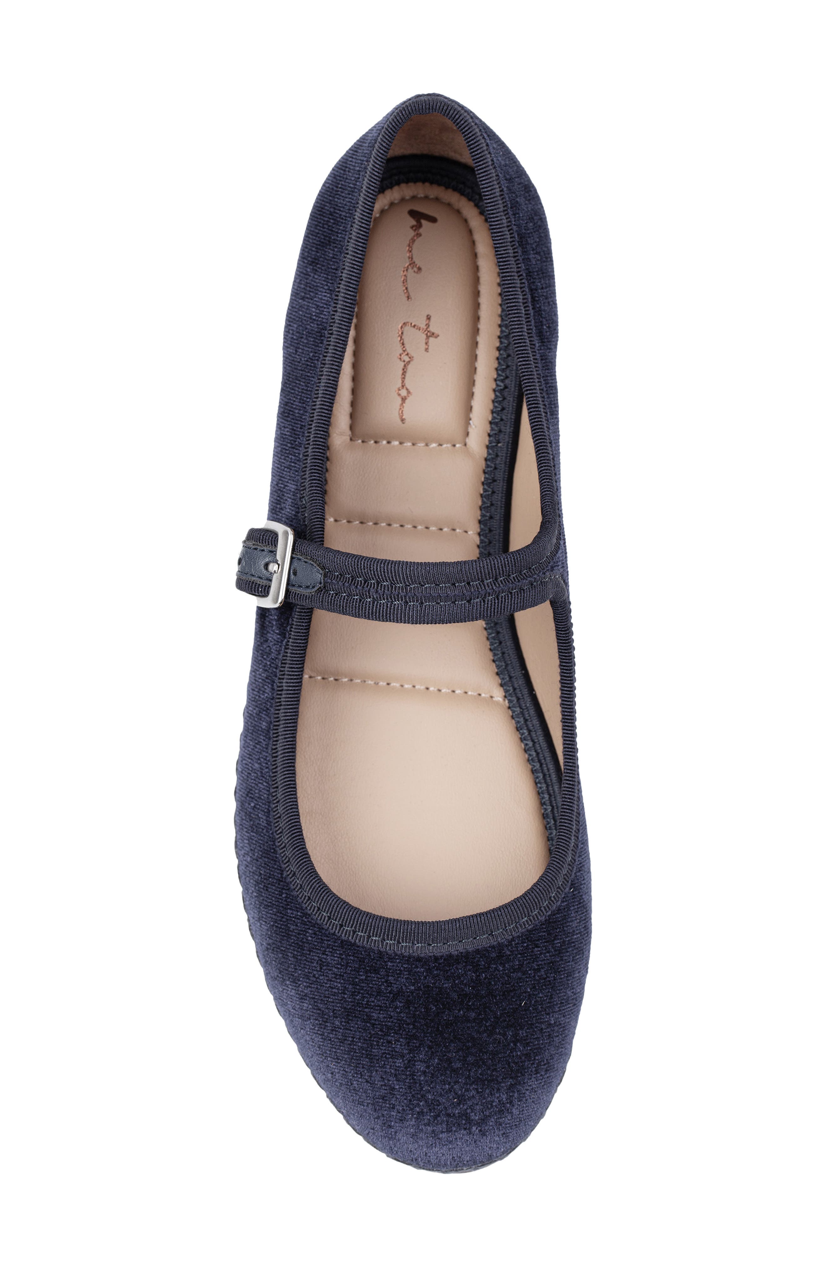Me Too Gamma Ballet Flat, Alternate, color, Blue