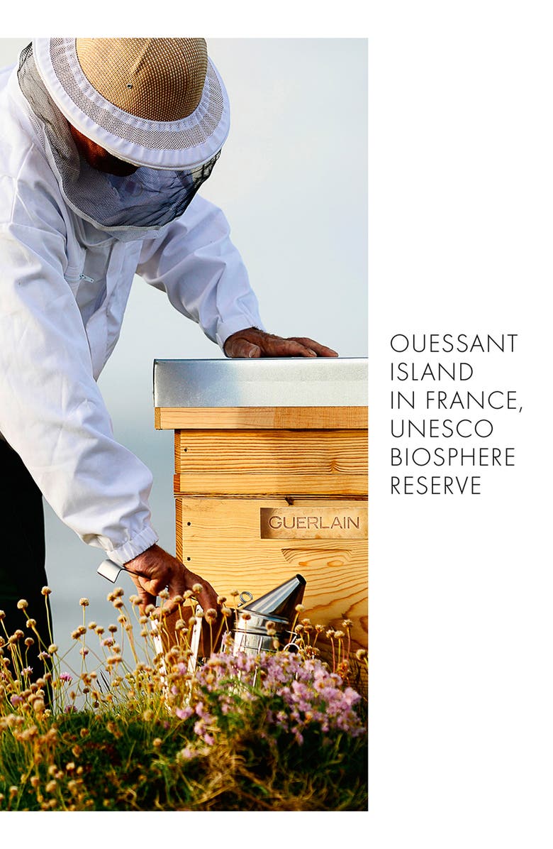 Guerlain Abeille Royale Anti-Aging Eye Cream Skin Care Set, Alternate, color, 