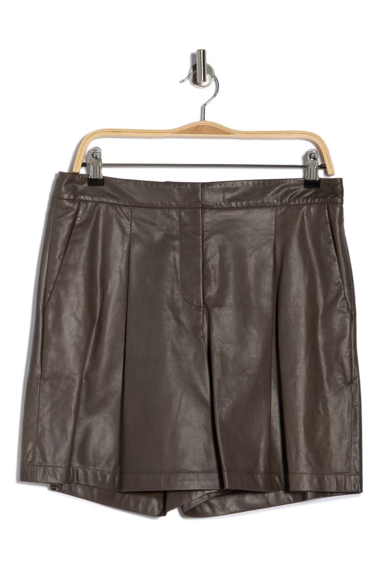 Sully Leather Shorts, Alternate, color, FUDGE