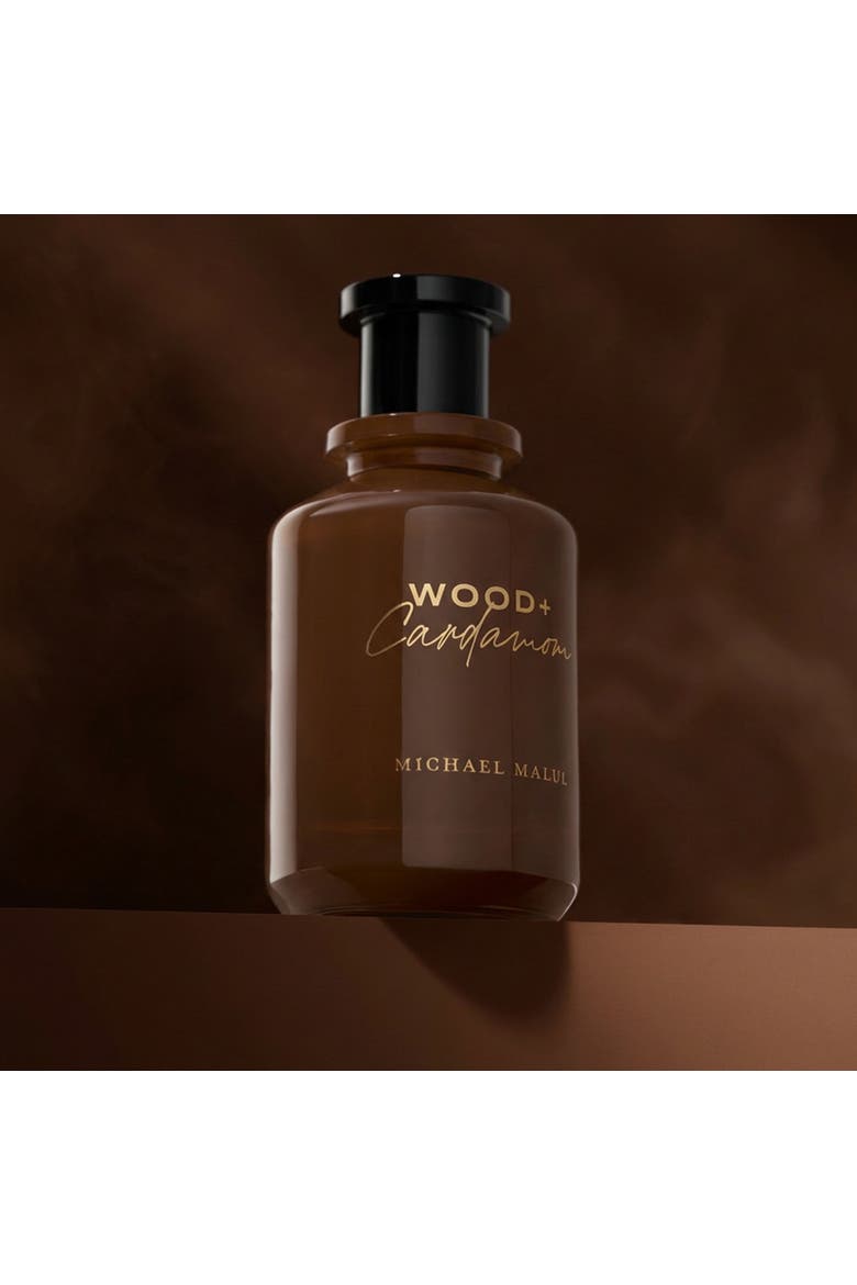 Wood + Cardamom Eau de Parfum, Alternate, color, 100ml