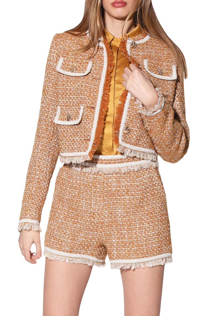 Walter Baker Leondra Tweed Jacket, Main, color,