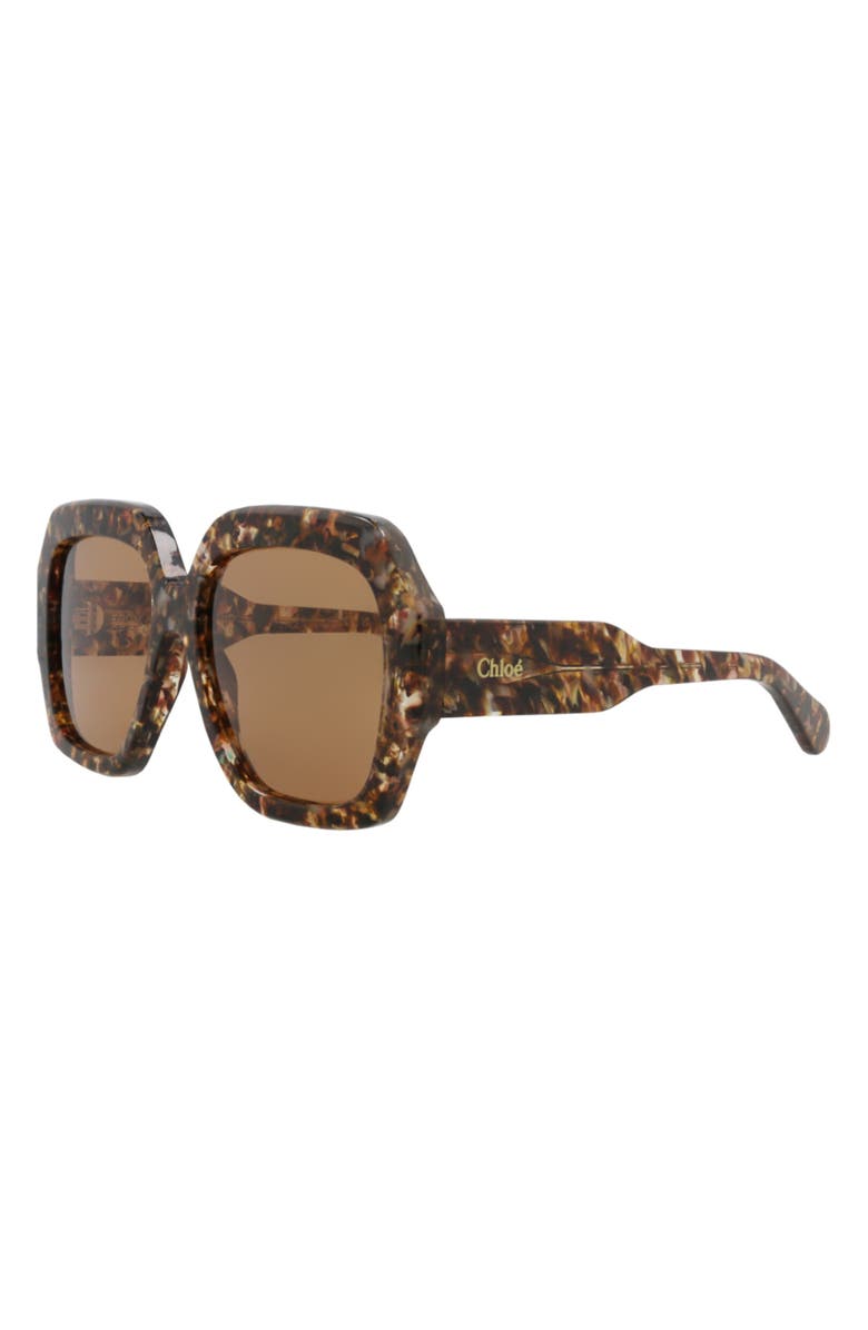 Chloé 56mm Square Sunglasses, Alternate, color, Havana Havana Brown