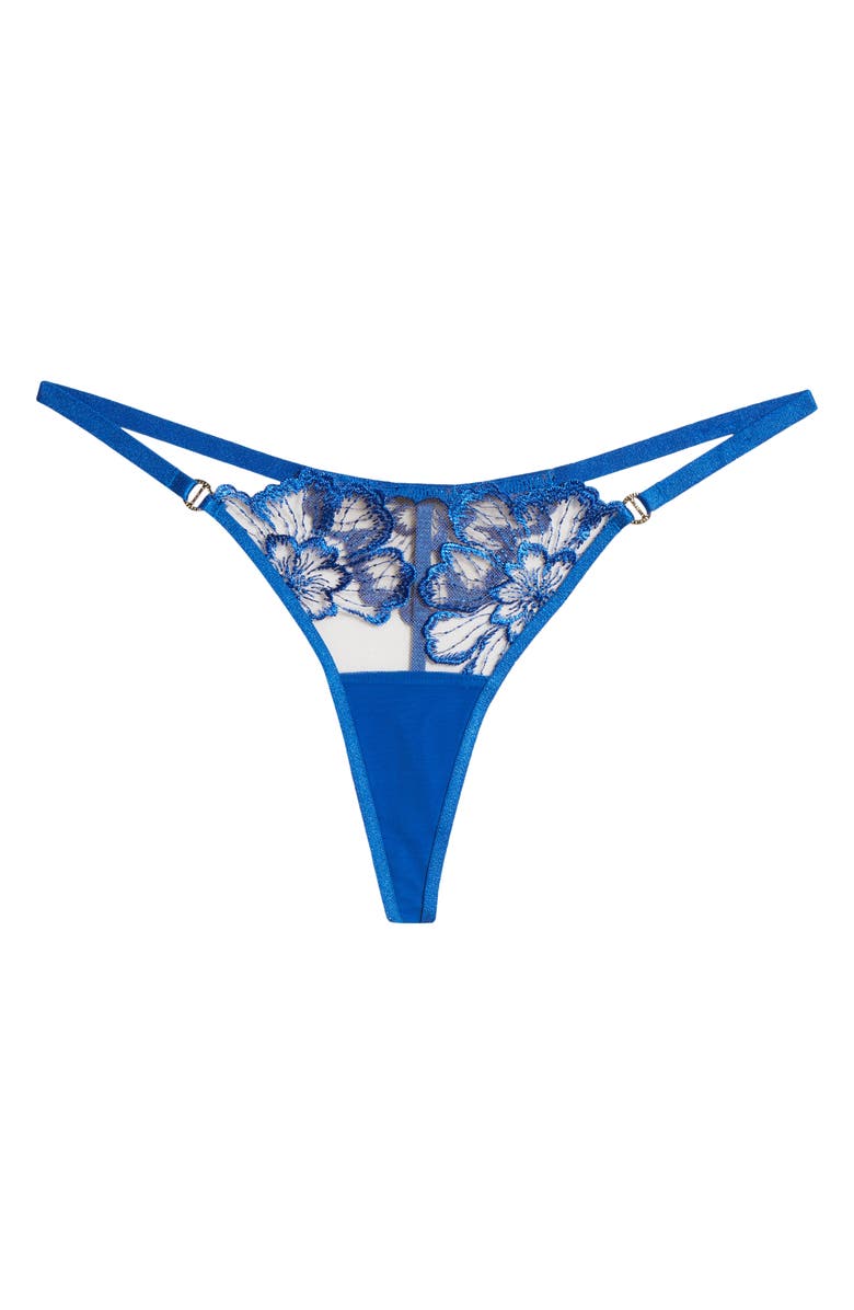 Bluebella Catalina Embroidered Mesh Thong, Alternate, color,