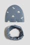 selected Dusty Blue/Dinosaurs