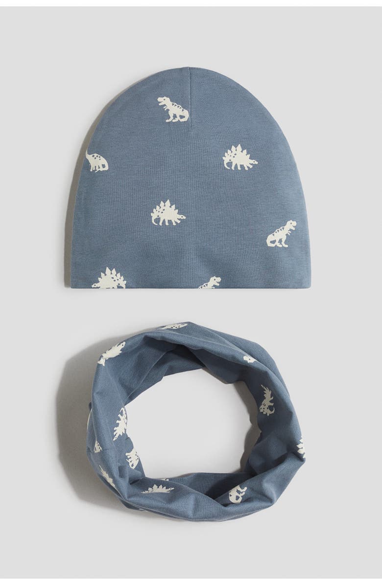 H&M 2-piece Beanie And Tube Scarf Set, Main, color, Dusty Blue/Dinosaurs