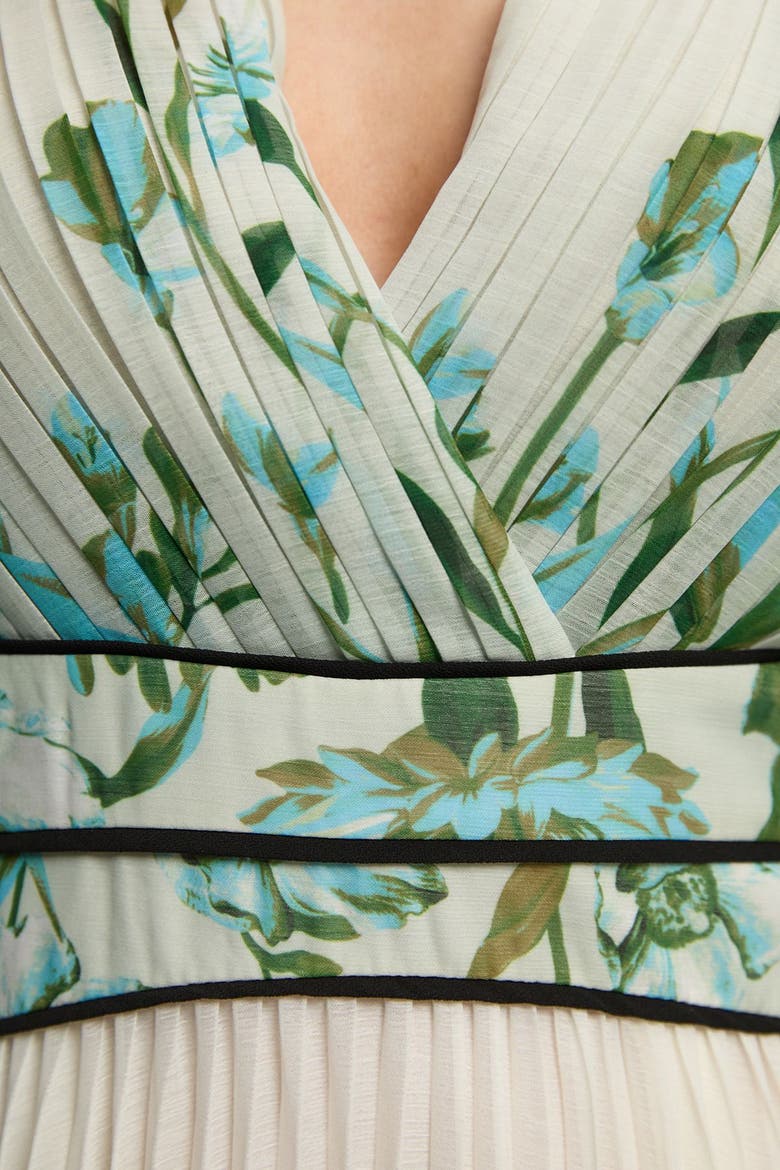 Plunge V-Neck Fit Flare Maxi Dress, Alternate, color, Floral
