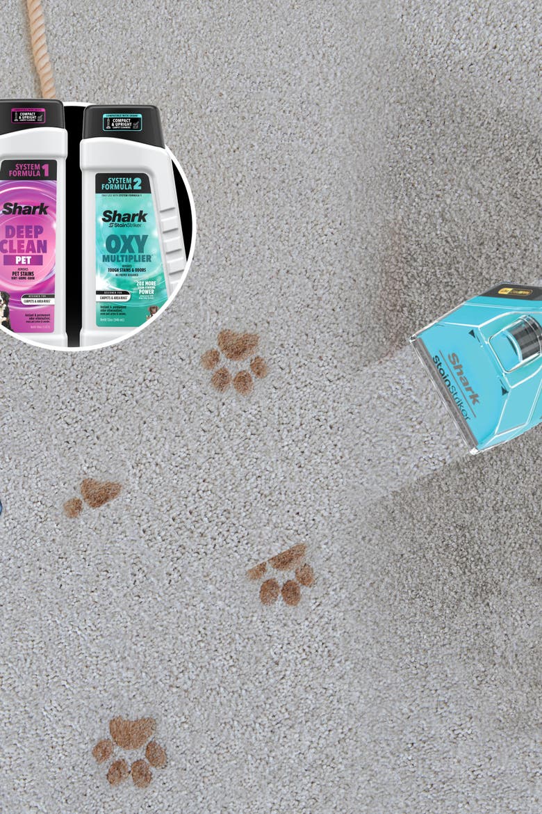 Hair Pro Pet Carpet Cleaner with Stain Striker, Alternate, color, Gray