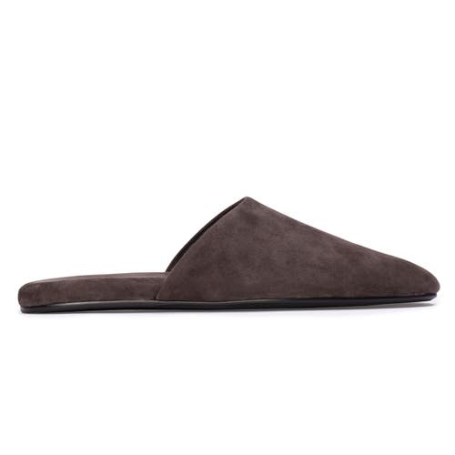 Black Suede Studio Shiloh Mule In Brown