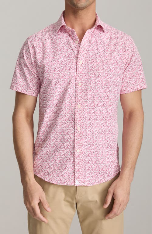 Untuckit Mavrud Leaf Print Short Sleeve Performance Button-up Shirt In Pink
