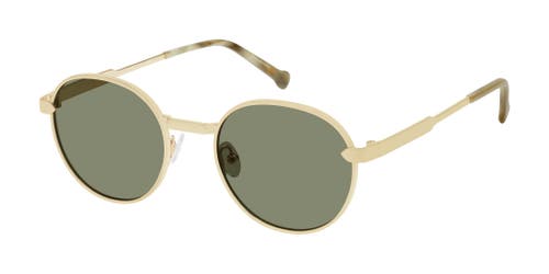 Colors In Optics Moreno Sunglasses In Gold