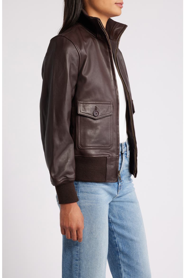 Leather Flight Jacket, Alternate, color, BROWN