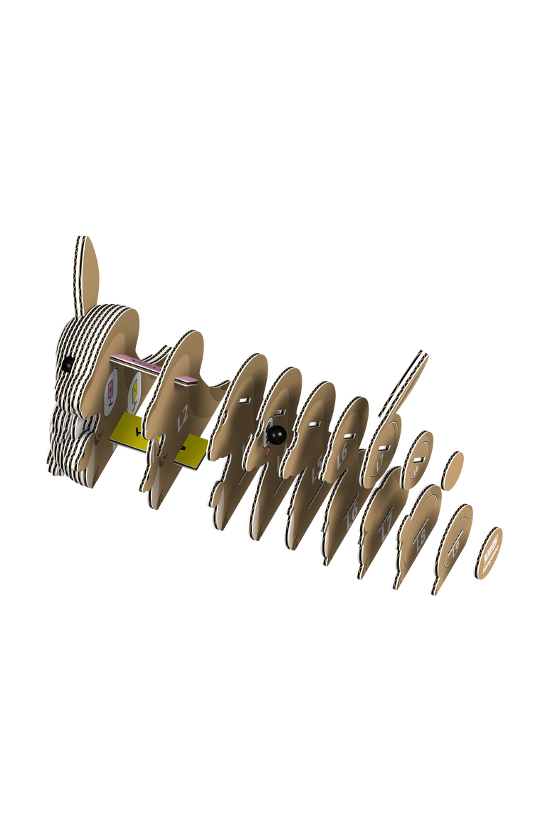 Kangaroo 3D Puzzle, Alternate, color, No Color
