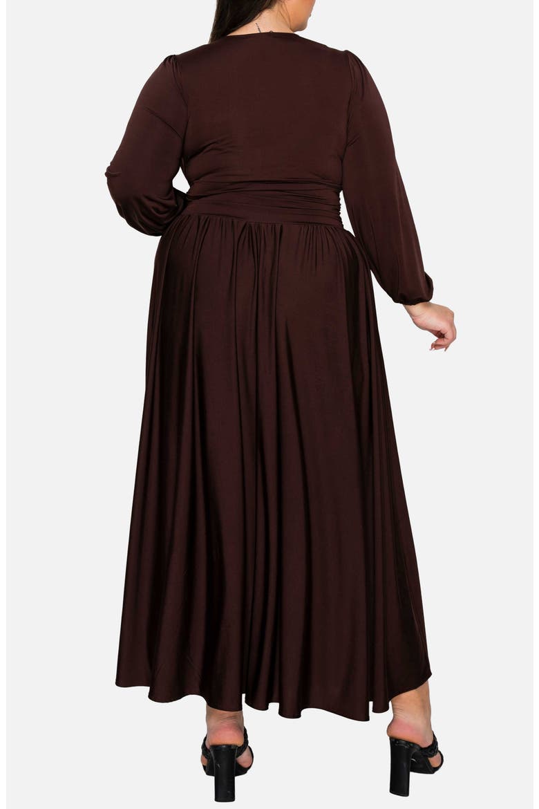 Solene Empire Waist Long Sleeve Maxi Dress, Alternate, color, BROWN