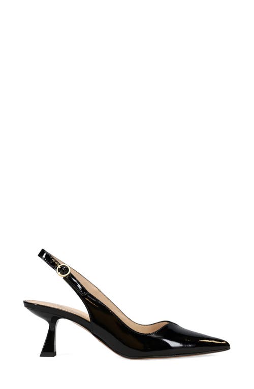 Pelle Moda Janah Slingback Pointed Toe Pump In Black Patent