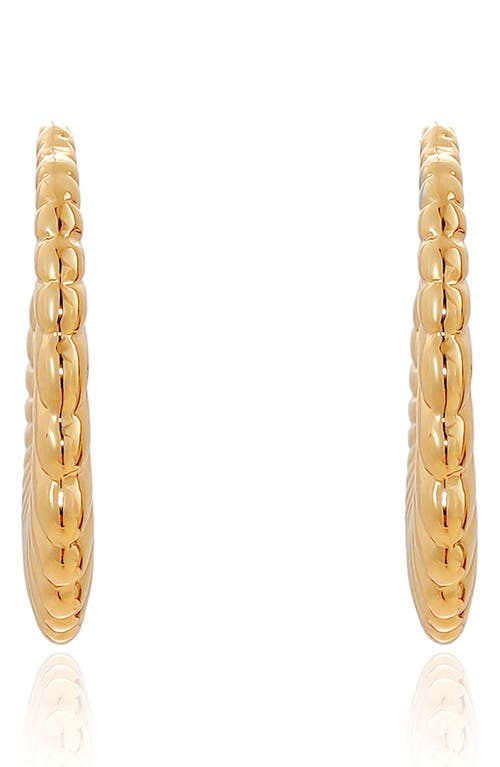 Ettika Ribbed Hoop Earrings In Gold