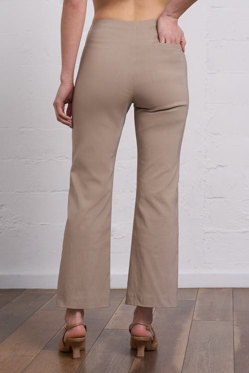 Franne Golde All-season Kick Flare Stretch Pull-on Pant In Brown