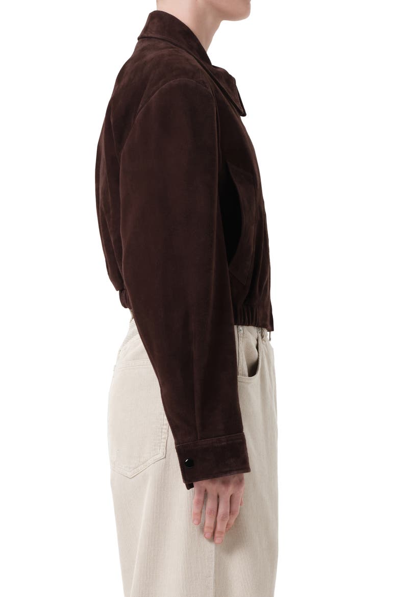 x Shoreditch Ski Club Nahla Suede Jacket, Alternate, color, ROOT DARK BROWN