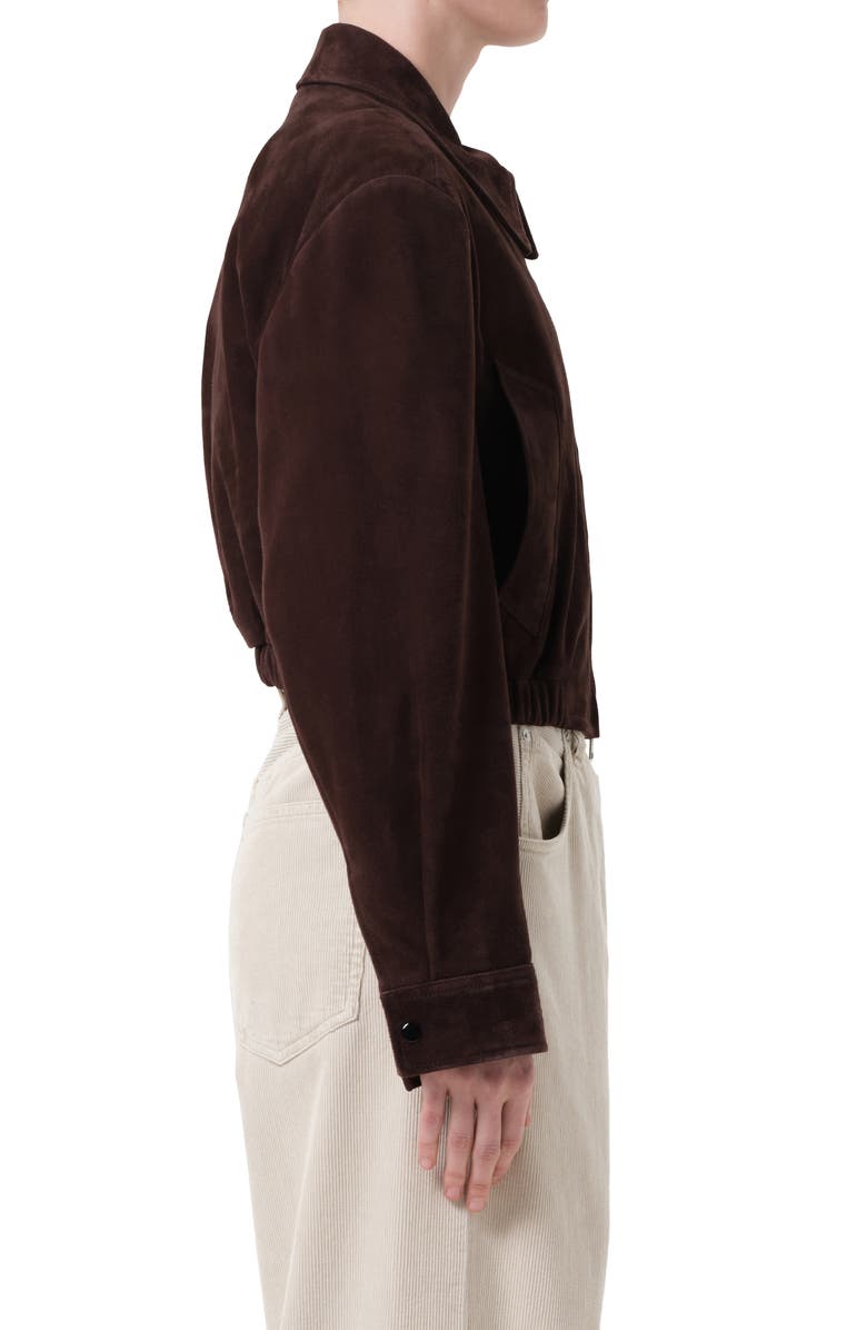 AGOLDE x Shoreditch Ski Club Nahla Suede Jacket, Alternate, color, Root Dark Brown
