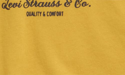 Levi's® Kids' Big Rig Graphic T-shirt In Yellow