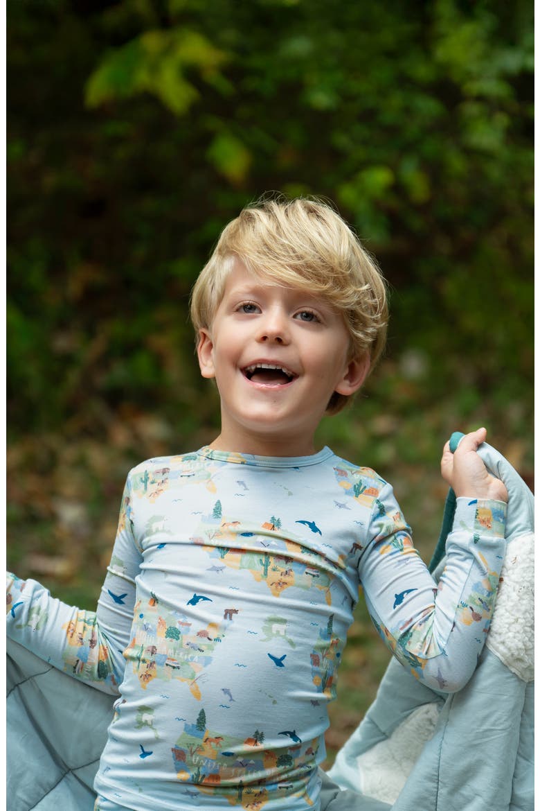 Kids' America the Beautiful Fitted Two-Piece Pajamas, Alternate, color, BLUE