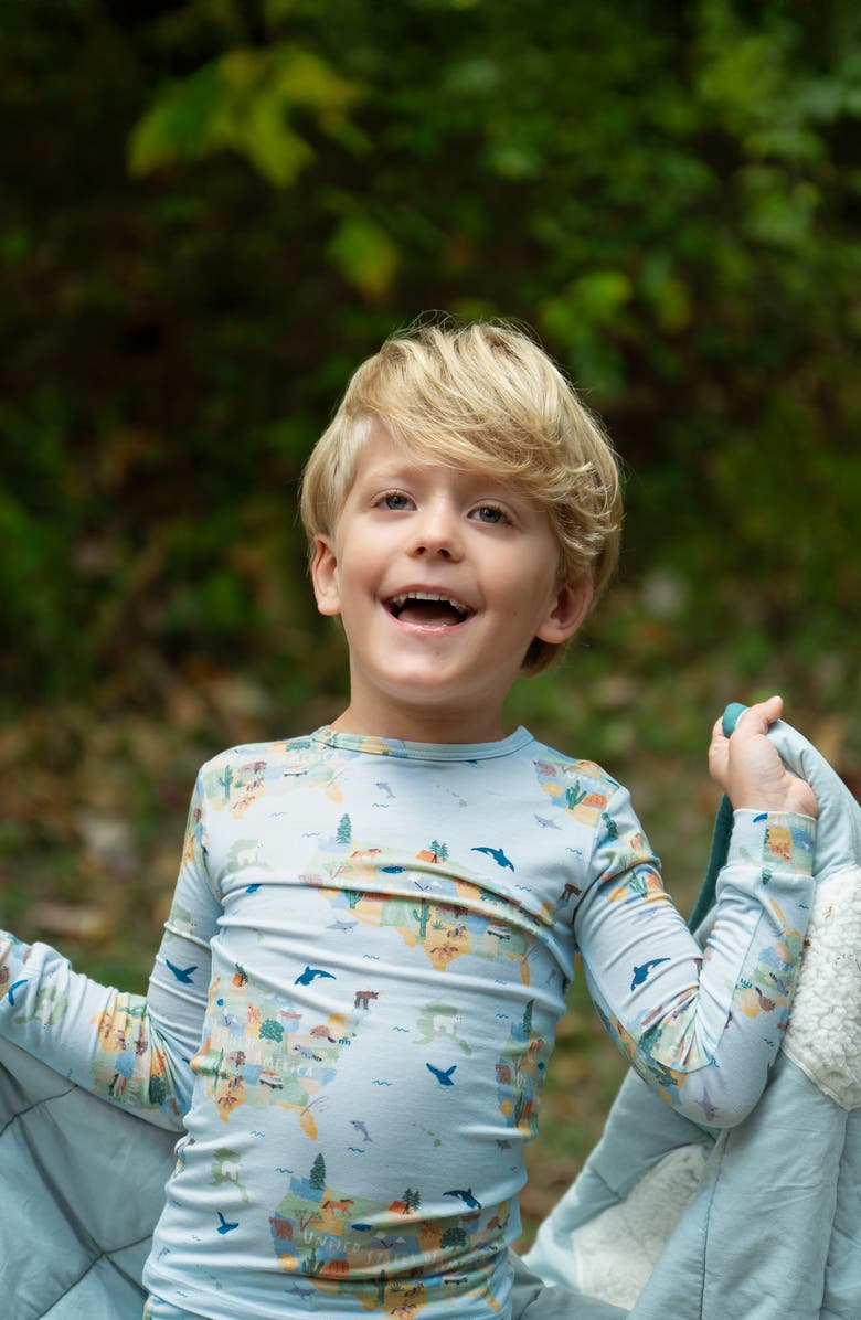 Magnetic Me Kids' America the Beautiful Fitted Two-Piece Pajamas, Alternate, color, 