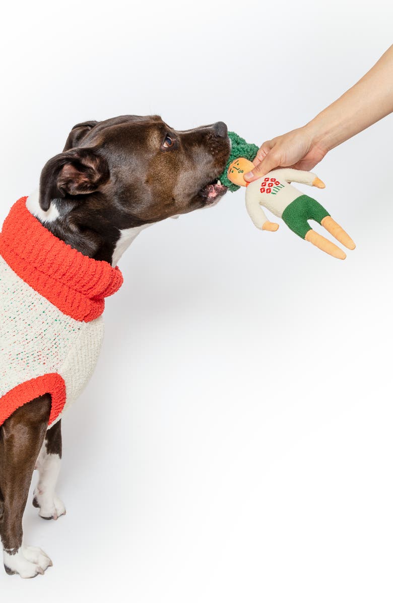 the furryfolks Flower Hooman Nosework Toy, Alternate, color, Green