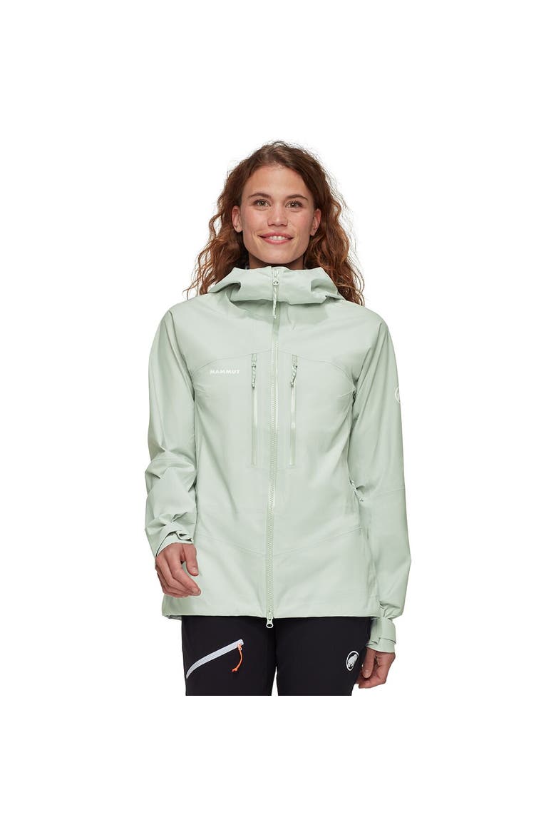 Taiss Hs Hooded Jacket - Women's, Main, color, Silver Sage