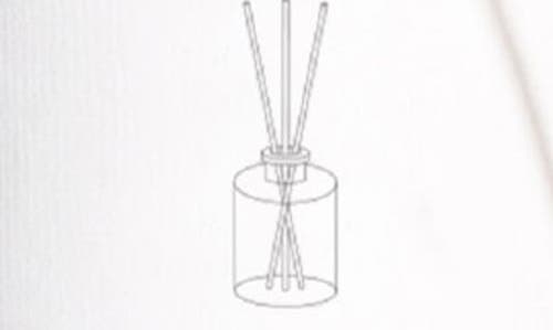 Brooklyn Candle Studio Santal Reed Diffuser In Brown