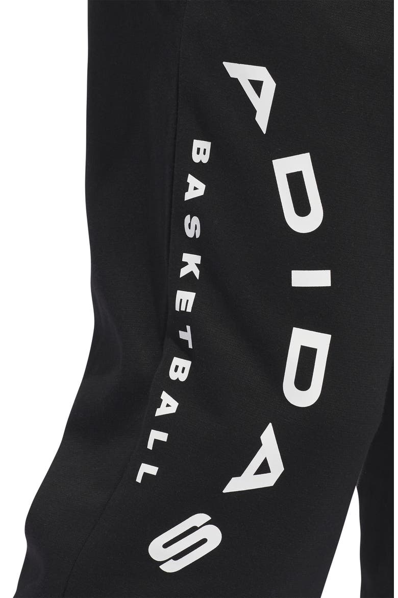 Select Fleece Basketball Pants, Alternate, color, BLACK/ CLOUD WHITE