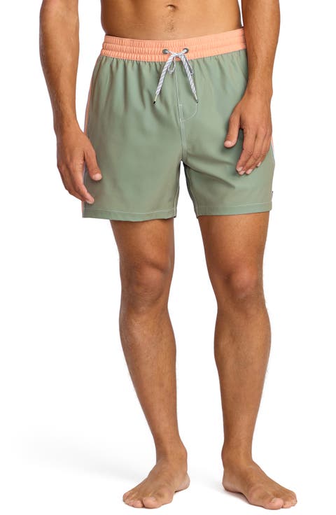 Dbah Panel Laybacks Swim Trunks