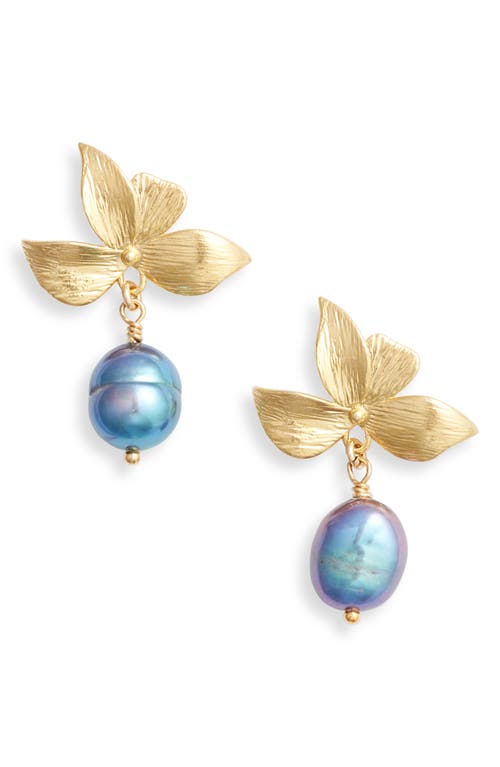 Set & Stones Maeve Freshwater Pearl Drop Earrings In Multi