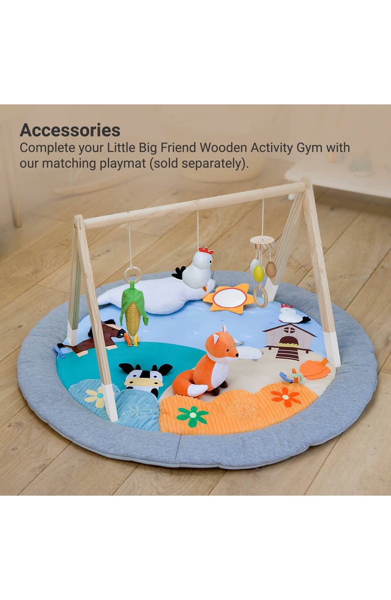 Little Big Friends Wooden Activity Arch - Farm, Baby Gym & Sensory Toys, Alternate, color, Multicolor