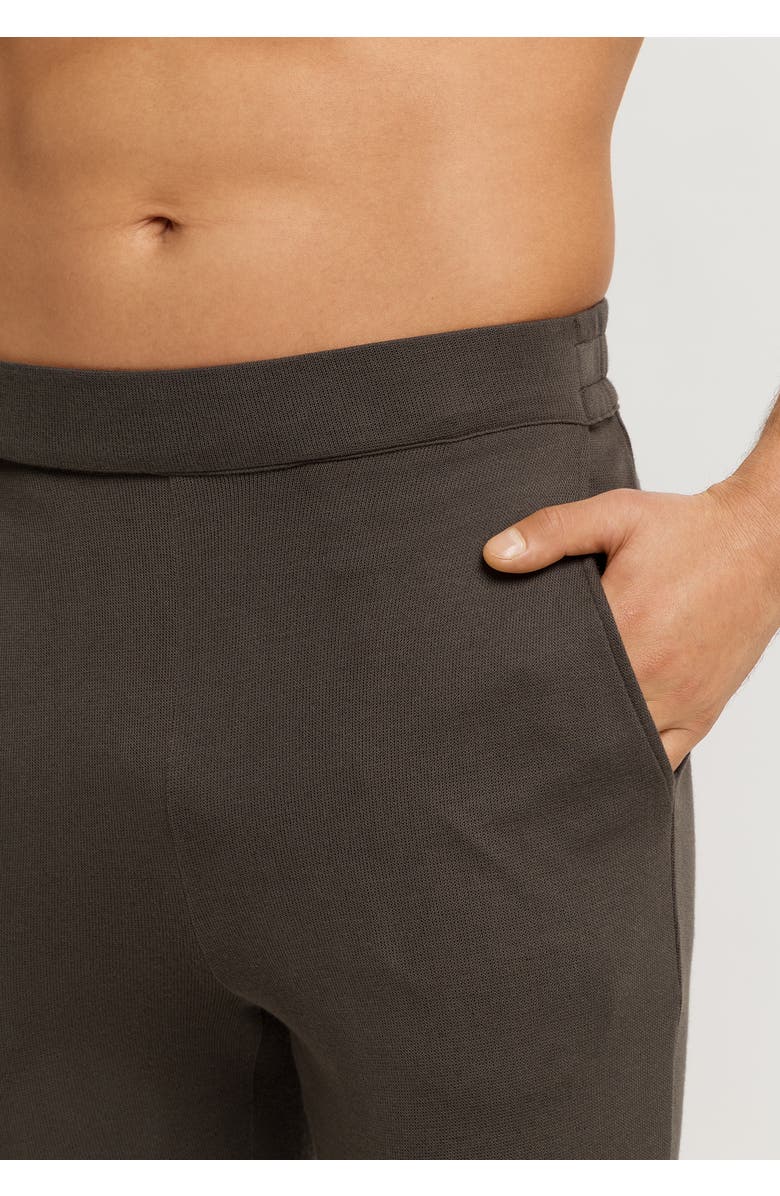 Hanro Woolen Comfort Tencel And Cashmere Pants, Alternate, color, Earthy Ink