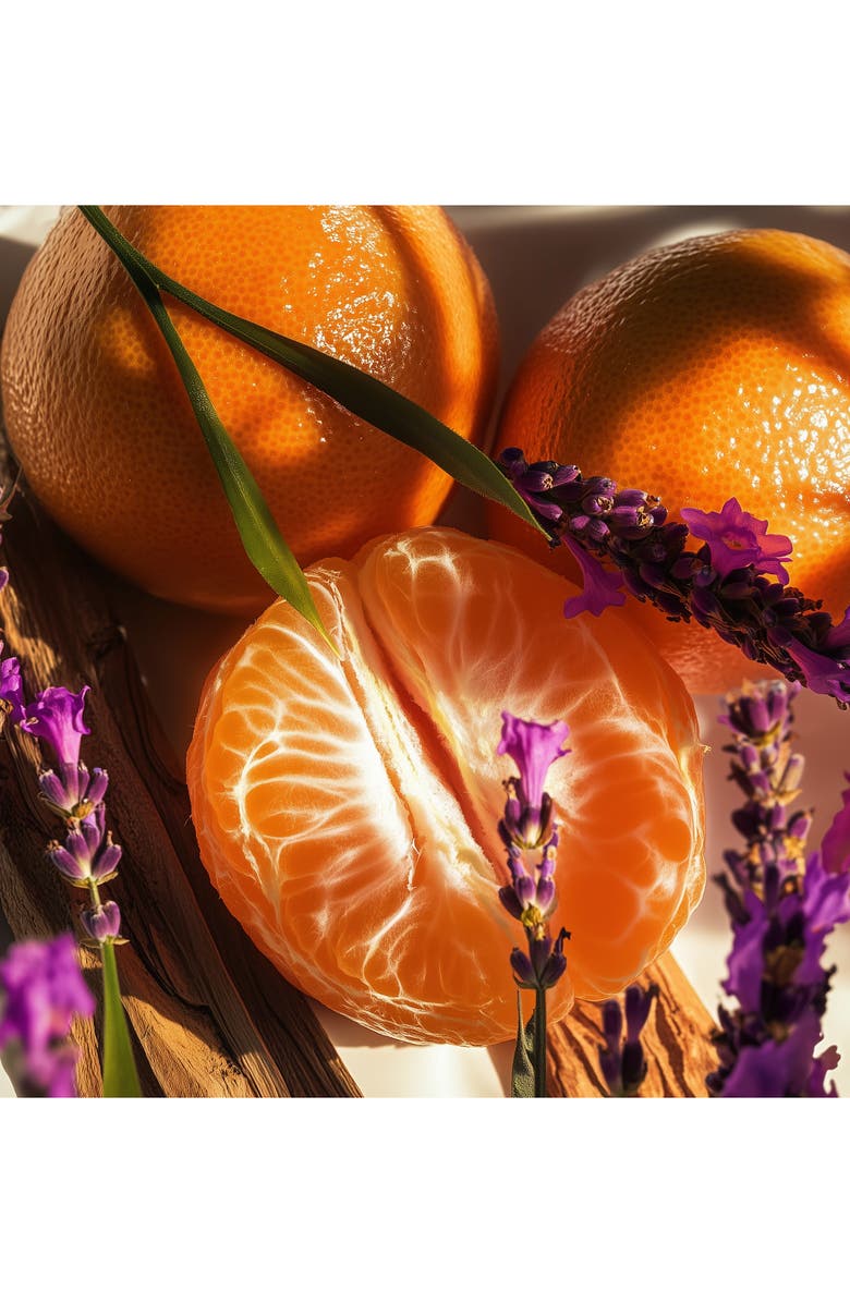 House of Sillage Mickey & Friends Amplifier Gift Set, Alternate, color, 