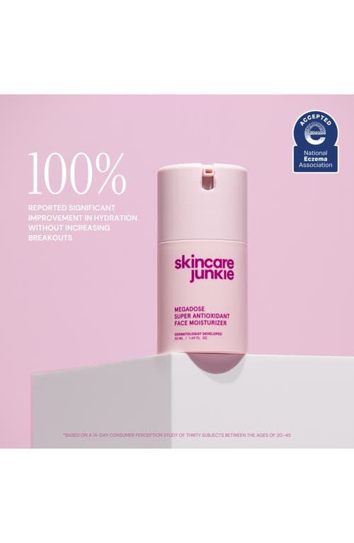 Skincare Junkie Megadose Super Antioxidant Face Moisturizer In Transparent