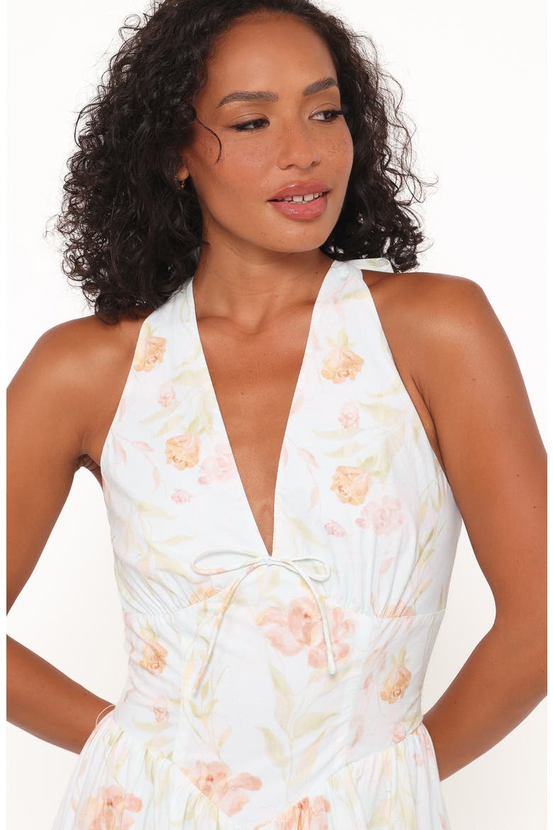 Myra Print Sleeveless Maxi Dress, Alternate, color, LIGHT MINT