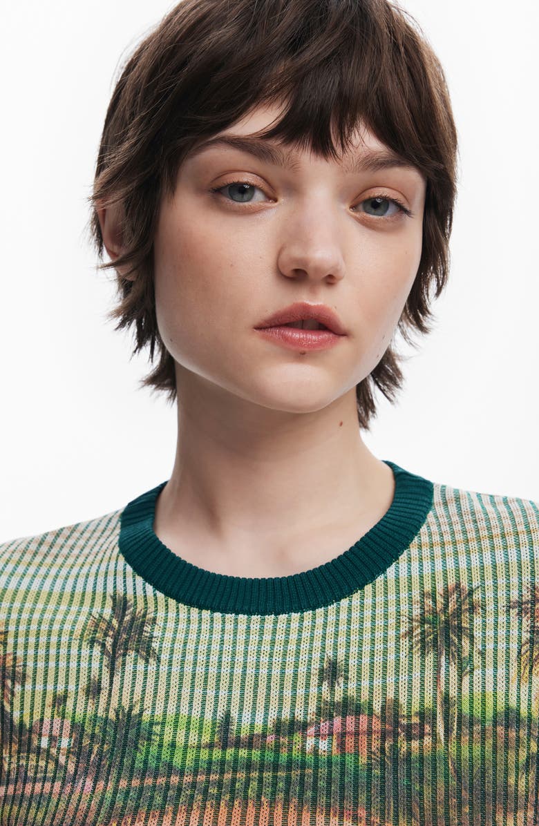 Desigual Stripe Scenic Rib Graphic T-Shirt, Alternate, color,