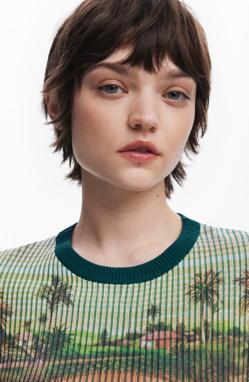 Desigual Stripe Scenic Rib Graphic T-shirt In Multi
