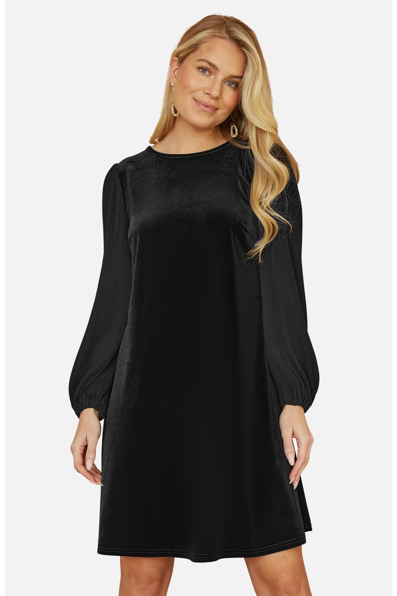 Velvet Tunic Dress, Alternate, color, Black