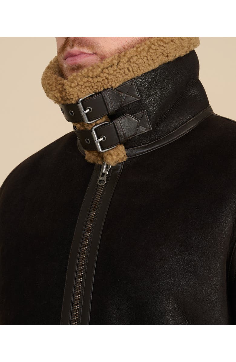 Furniq UK Frederick Shearling Aviator Jacket, Alternate, color, Brown