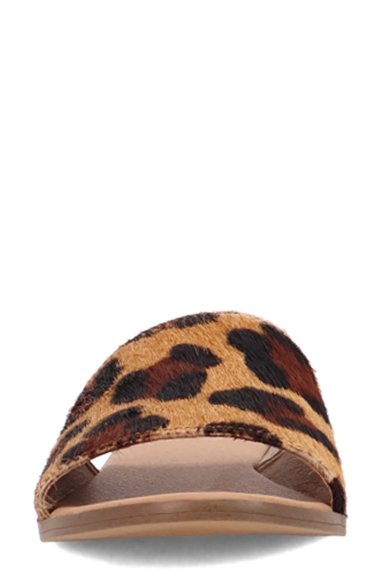 Dingo Tabby Genuine Calf Hair Slide Sandal, Alternate, color, Leopard