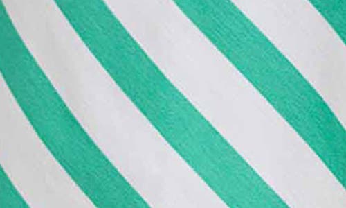 Foxcroft Mary Stripe Long Sleeve Cotton Sateen Button-up Shirt In Green
