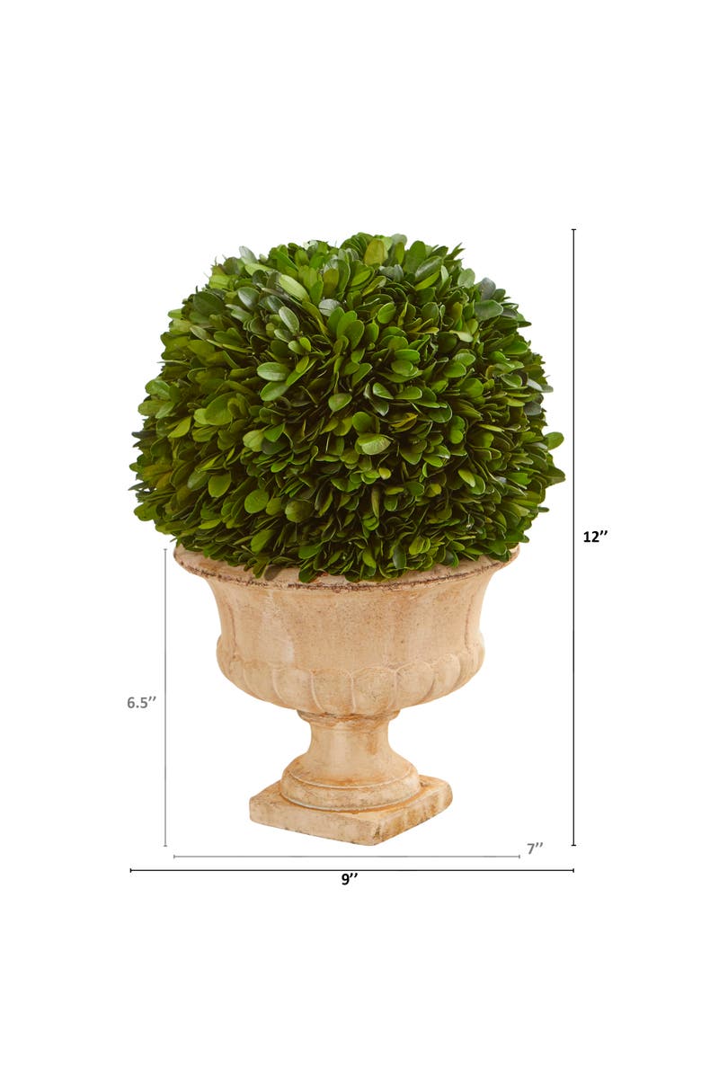 NEARLY NATURAL 12-in Boxwood Topiary Ball Preserved Plant in Decorative Urn, Alternate, color, Green