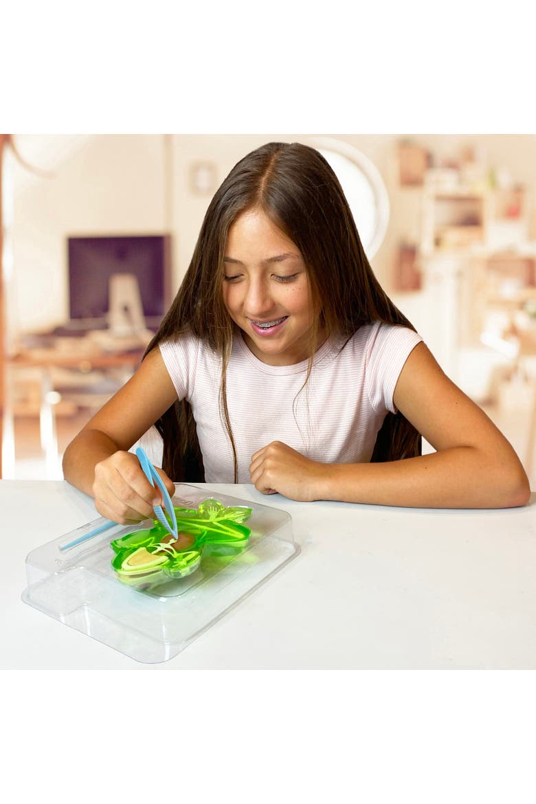 Dissect it Frog Lab, Science Kit, Ages 6+, Alternate, color, Multicolored